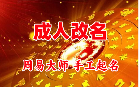 德州成人改名-找大师一对一改名先分析后改名